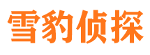 未央捉小三公司